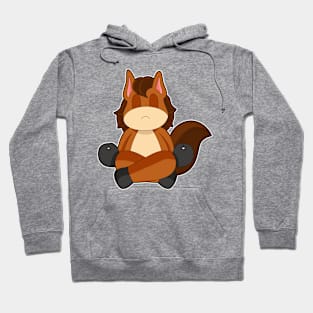 Horse Yoga Meditation Gymnastics Hoodie